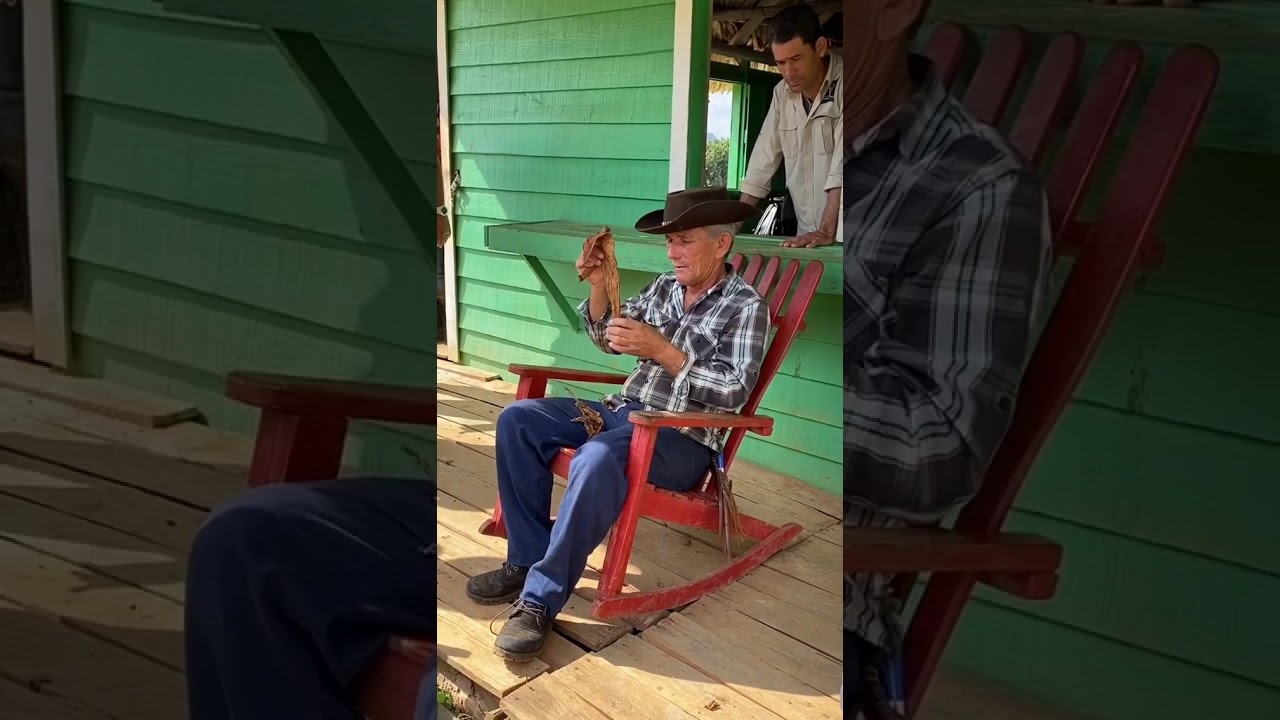 •صَفر تا صَدِ مراحلِ دُرست شدن سیگار برگ•