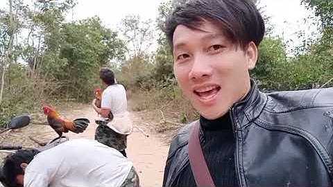 Yos hav zoov dib qaib qus nyob sab 52 part 3