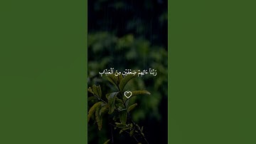 يوم تقلب وجوههم في النار #سورة_الأحزاب #ماهر_المعيقلي #quran #قرآن #قران #قران_كريم