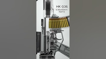 HK G36