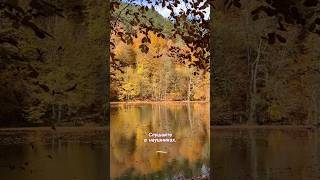 Музыкальная терапия 🎧 Лечение звуком 🎼автор @maltemarten🎶🎵🎶🍁🍂🍁🍂🍁