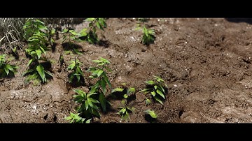 Skyrim SE ENB Complex Parallax Graphic Showcase