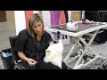 Cat Grooming Demo