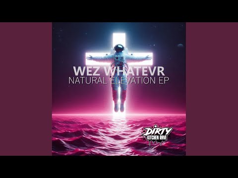 WeZ WhaTevR - They Got Shook