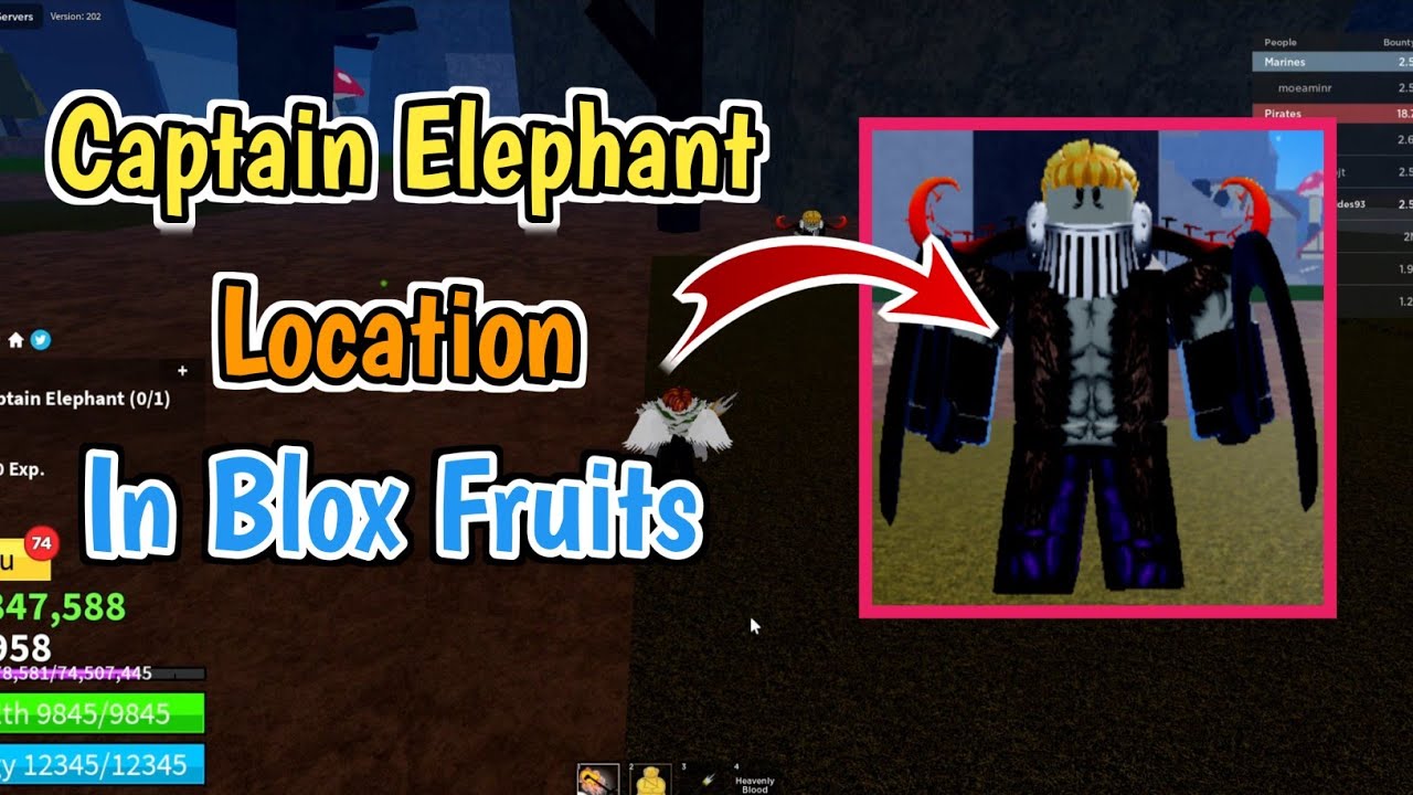 where is captain elephant located blox fruit｜TikTok Search