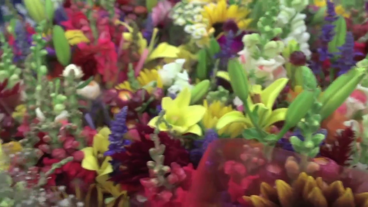 to Potomac Floral Wholesale Washinton DC Area's Ultimate