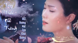 Tay Trái Chỉ Trăng | Trịnh Bách Thuỷ | OST Hương Mật Tựa Khói Sương - Tát Đình Đình | Việt sub MV 4K