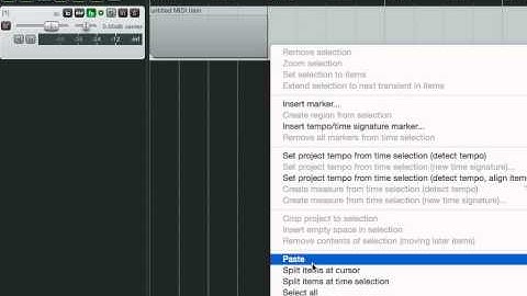 Copy And Paste Midi - Reaper