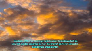 CİN-(CİNN)-SURESİ-Ebubekir Şatiri (Abu Bakr Al Shatri)