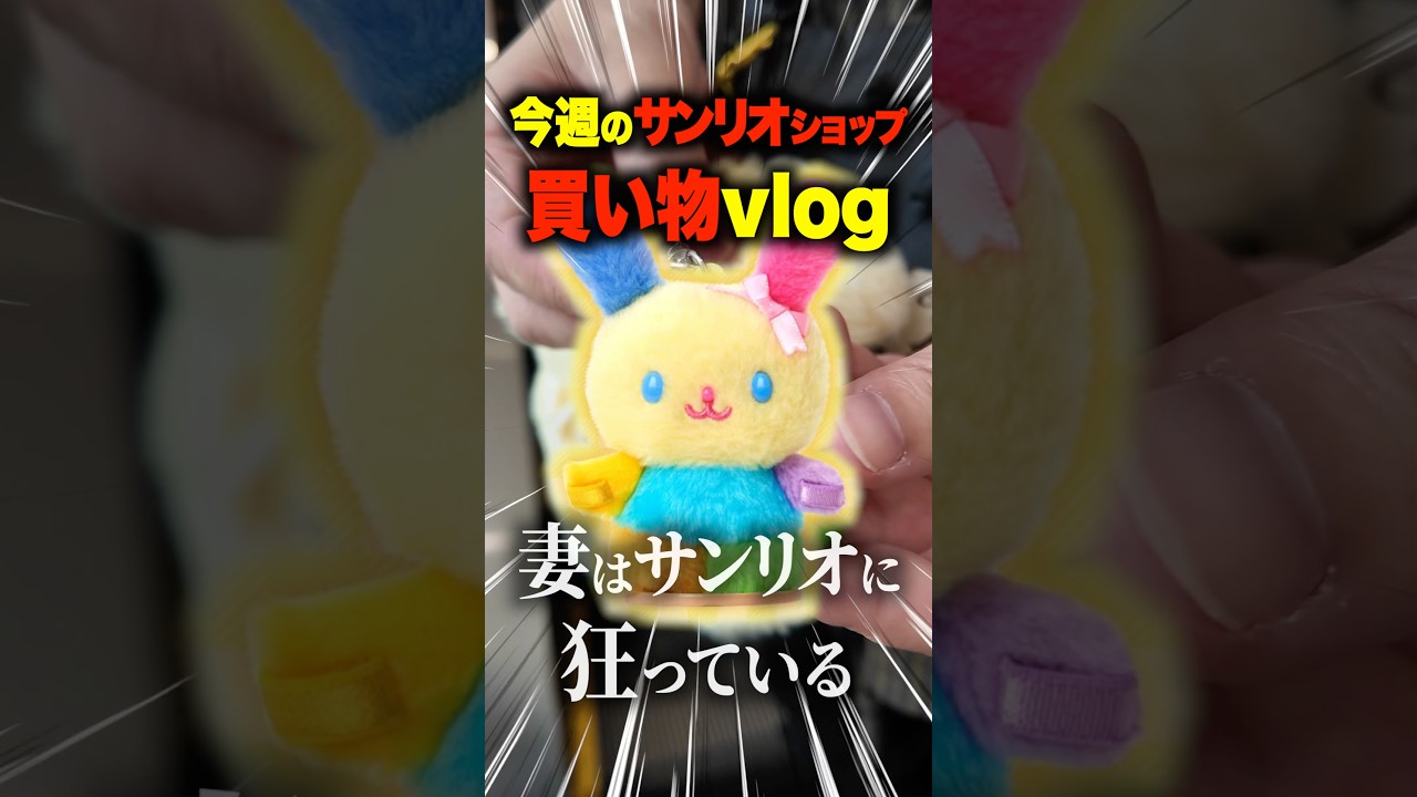 今週の買い物vlog】ぴたっとふれんずSSサイズが新発売【サンリオ新作
