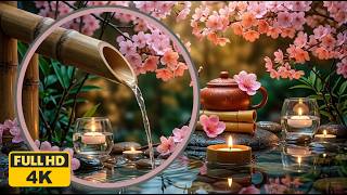 THE ULTIMATE STRESS Relief 🌿 Piano Music & Nature Sounds