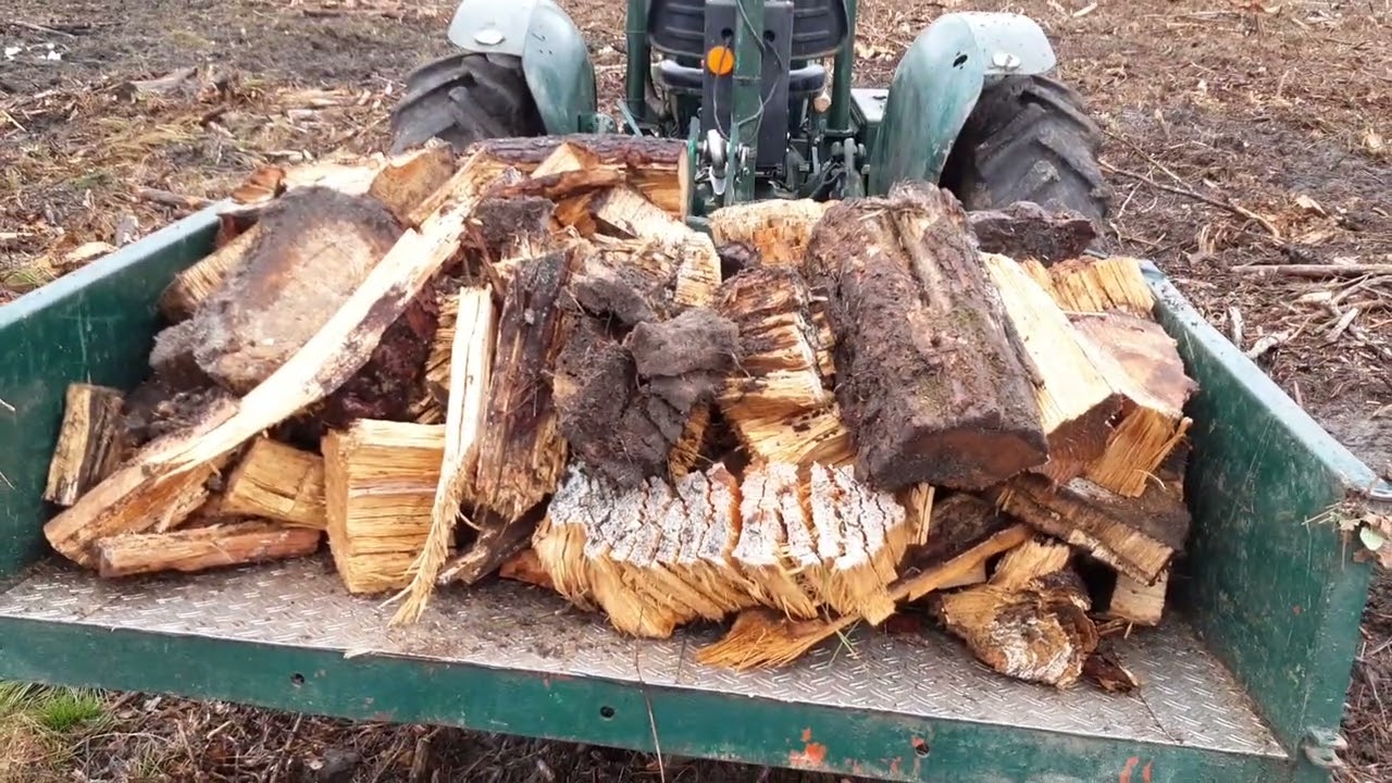 palombe.org - Le croque souche = la bonne pratique pour la replantation