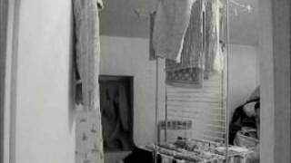 Vaisselle et chat mort