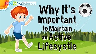 Why It's Important to Maintain an Active Lifesystle