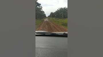 suku bunian terlihat