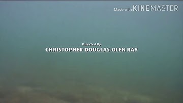 (2-Headed Shark Attack music video #2)