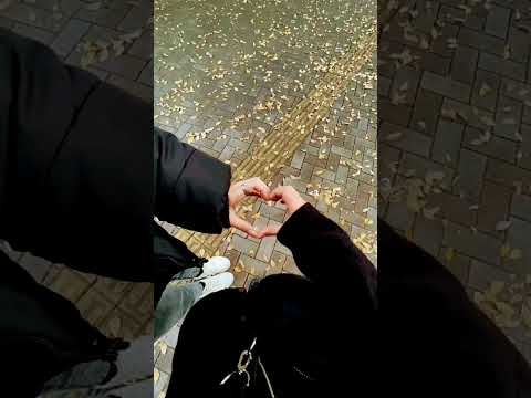 سمحيلي لمكنتش كونسيو