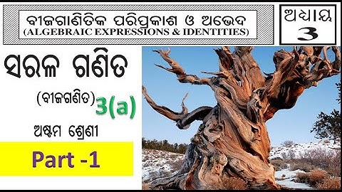 Class 8 Algebra chapter 3 (Bijaganitika Pariprakash O Abheda)