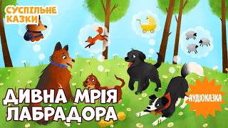 🐶 Аудіоказка Дивна мрія лабрадора | Читає @KOLAOfficial  | Вечірня казочка для дітей