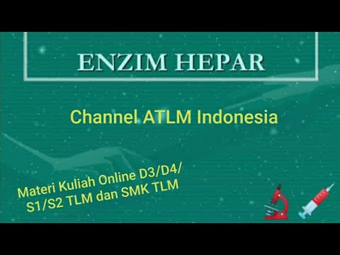 Enzim Hepar (Edukasi ATLM Indonesia)