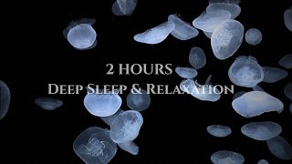 ⁠[120 Min BGM] Deep Sea Jellyfish — Soft Relaxing Piano Music for Sleep, Study & Relaxation⁠