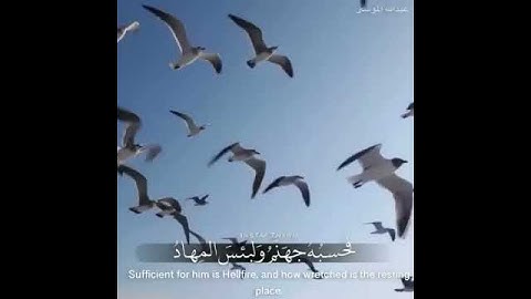 ومن النَّاسِ من يعجبك قوله في الحياة الدنيا                    القارئ / عبدالله الموسى/ حالات واتساب