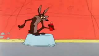 Looney Tunes - Los Mejores Momentos Del Correcaminos Y Del Coyote