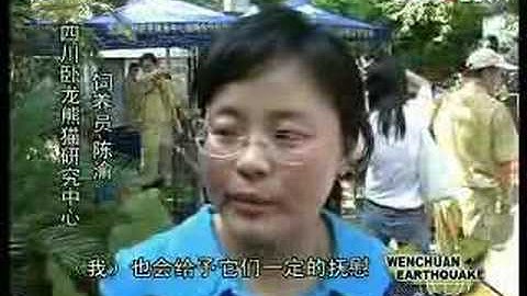 Quake-frightened pandas recovering well