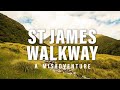 St James Walkway: A Misadventure | Farewell, South Island
