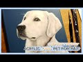 Acrylic Pet portrait / How to paint Labrador pet/ step by step pet painting/래브라도리트리버 들래 초상화