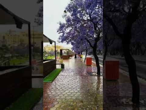 من بغانا منزله بين رمش وعين ومن قف ى ماله م نادي ولادرينا به