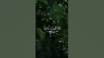 #القارئ_ياسر_الدوسري #سورة_الروم #تلاوة_خاشعة #المصحف