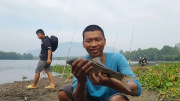 Ra Hồ Núi Le Test Mồi Ngũ Cốc Và Kết Quả Bất Ngờ P1 | Đam Mê Câu Cá TV