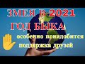 Змея в 2021 году. В год Металлического Быка.