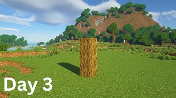 Building a house but only adding one block a day (Day 3)