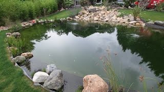 Bassin de jardin de grande classe une création de Normandie koi