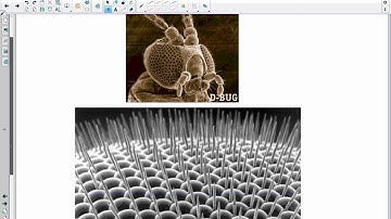 Physics 30 Unit 5 lesson 9 Modern Physics  Quantum Model