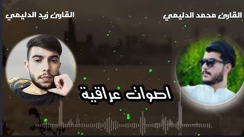 تلاوات قصيرة زيد الدليمي | ومحمد الدليمي HD