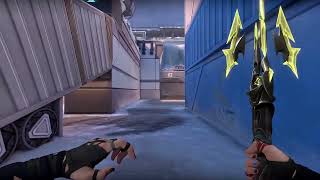 New Titanmail Mace Knife LVL2 IN-GAME Showcase