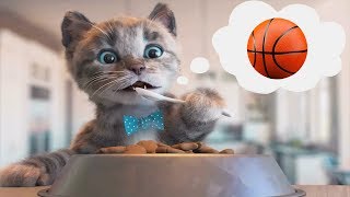 Permainan Anak-Anak Prasekolah Petualangan Anak Kucing Kecil - Permainan Kartun Perawatan Hewan P... screenshot 3