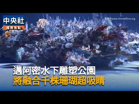 邁阿密水下雕塑公園  將融合千株珊瑚超吸睛