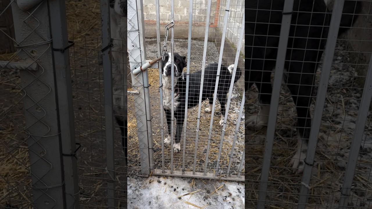 Герда ищет семью