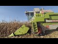 claas dominator 88  збирання кукурузи 2020