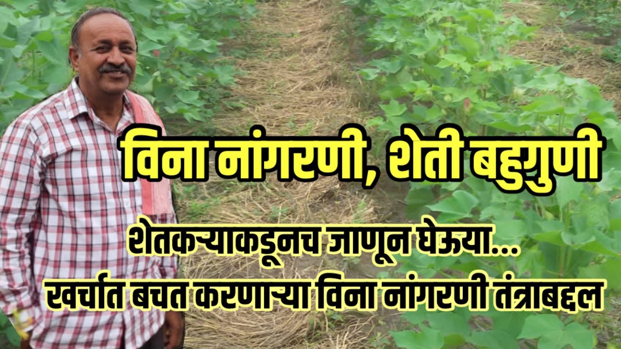 विना नांगरणी, शेती बहुगुणी ! खर्चात बचत करणारं विना नांगरणी तंत्र | शेतकऱ्यांची यशोगाथा