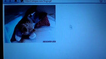 Very odd firefox 4 beta 7 bug.