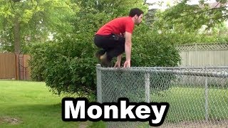 How To Monkey Vault - Parkour Tutorials