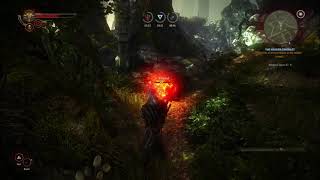 The Witcher 2 - Assassins of kings - Walkthrough 9 - The Nekker Contract