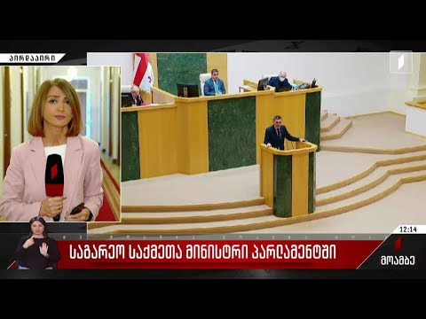 საგარეო საქმეთა მინისტრი პარლამენტში