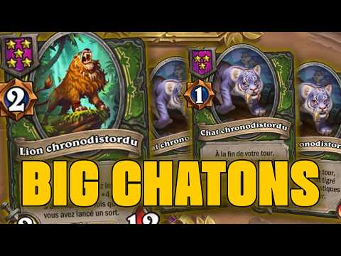 BOARD FULL D'ENORMES CHATS | Hearthstone Battlegrounds Top EU