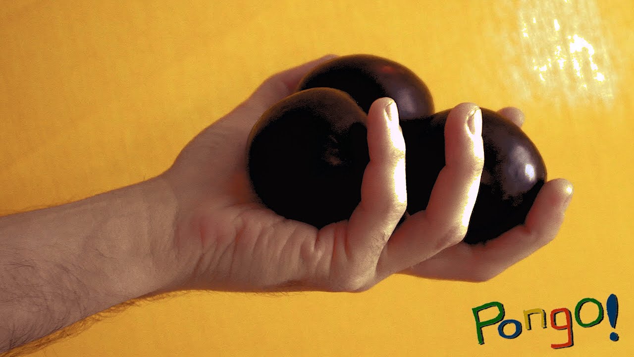 Pongo! - Plums [Music Video]
